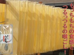 画像3: かぐや姫◆手延べ半生うどん◆