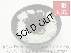 画像6: *全国送料無料*子持ちきくらげ レターパックプラス発送限定！