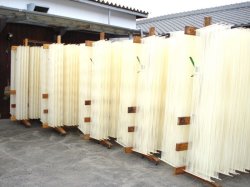 画像4: 小豆島半生かぐや姫そうめん250ｇ30袋