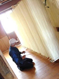 画像5: 小豆島半生かぐや姫そうめん250ｇ30袋