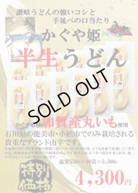 かぐや姫◆手延べ半生うどん250ｇ10袋◆自宅用です