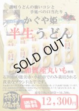 かぐや姫◆手延べ半生うどん250ｇ30袋◆全国送料無料です